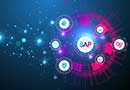 SAP - Validation and GMP Compliance - Live Online Training